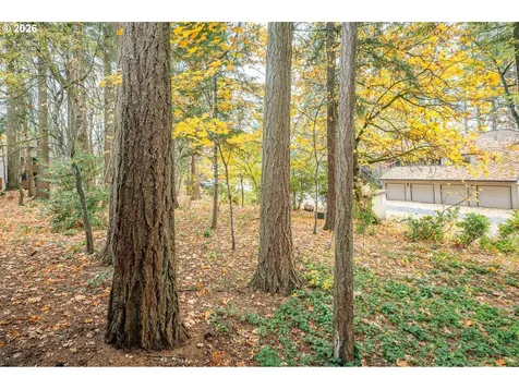 14828 SW 109th Avenue Portland OR 97224