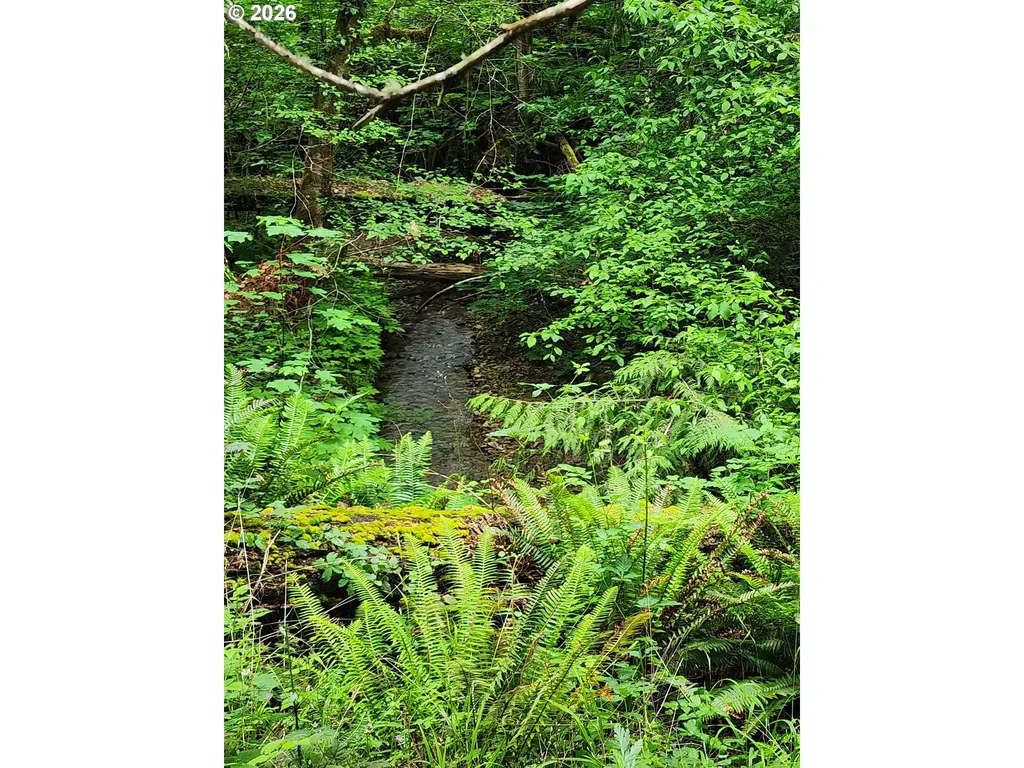 0 Louis Creek Road Myrtle Creek OR 97457