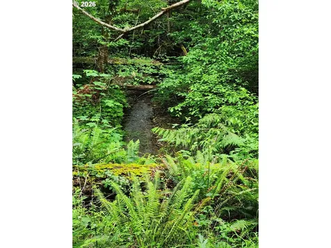 0 Louis Creek Road Myrtle Creek OR 97457
