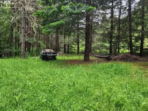 0 Louis Creek Road Myrtle Creek OR 97457