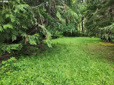 0 Louis Creek Road Myrtle Creek OR 97457
