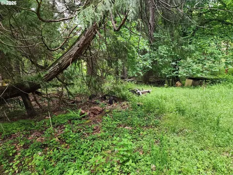 0 Louis Creek Road Myrtle Creek OR 97457