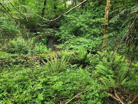 0 Louis Creek Road Myrtle Creek OR 97457