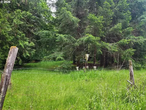 0 Louis Creek Road Myrtle Creek OR 97457