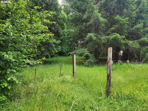 0 Louis Creek Road Myrtle Creek OR 97457