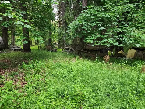 0 Louis Creek Road Myrtle Creek OR 97457
