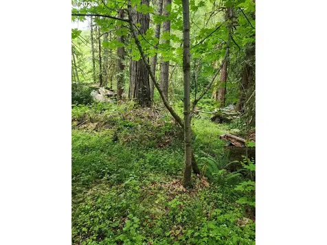 0 Louis Creek Road Myrtle Creek OR 97457