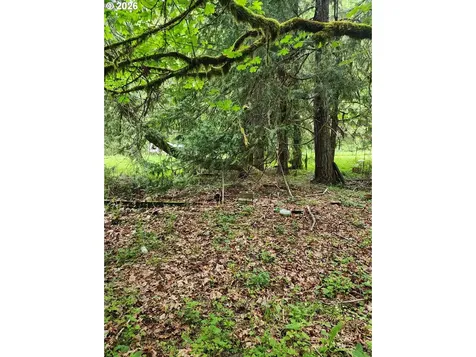 0 Louis Creek Road Myrtle Creek OR 97457