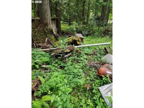 0 Louis Creek Road Myrtle Creek OR 97457