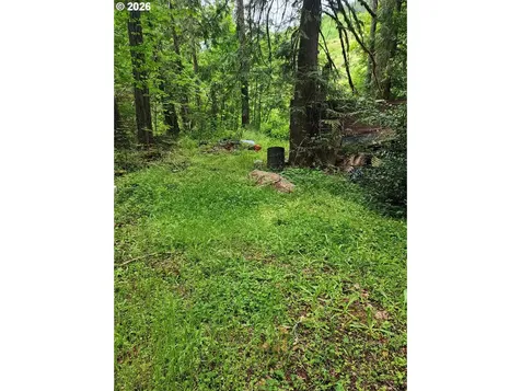 0 Louis Creek Road Myrtle Creek OR 97457