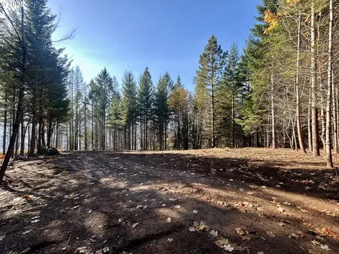 9562 Cook-underwood Road Underwood WA 98651