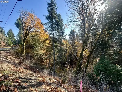 9562 Cook-underwood Road Underwood WA 98651
