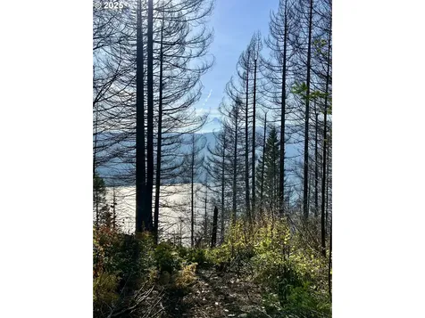 9562 Cook-underwood Road Underwood WA 98651