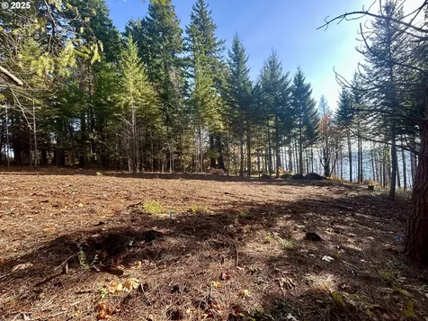 9562 Cook-underwood Road Underwood WA 98651