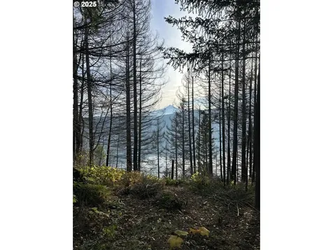9562 Cook-underwood Road Underwood WA 98651