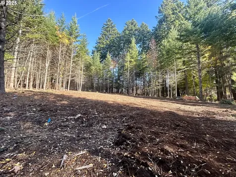 9562 Cook-underwood Road Underwood WA 98651