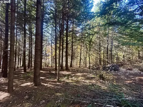 9562 Cook-underwood Road Underwood WA 98651