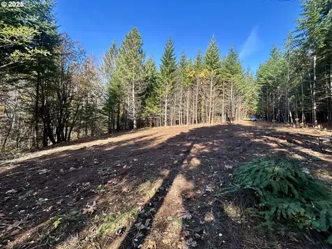 9562 Cook-underwood Road Underwood WA 98651