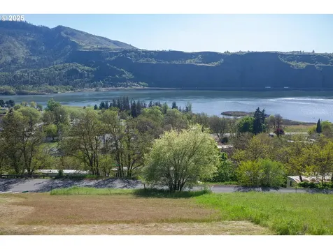 Columbia Drive Lyle WA 98635