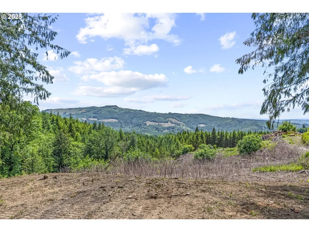 1899 Mount Pleasant Road Kelso WA 98626