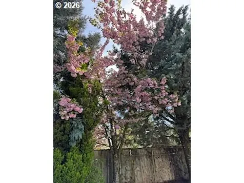 15146 NW Channa Drive Portland OR 97229