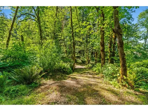 81482 Lost Creek Road Dexter OR 97431
