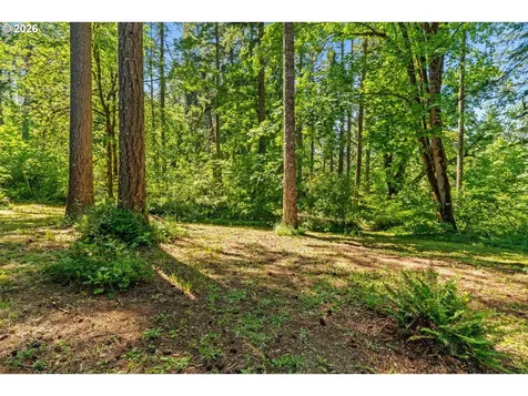 81482 Lost Creek Road Dexter OR 97431