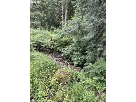 2286 NE Marionberry Lane Estacada OR 97023