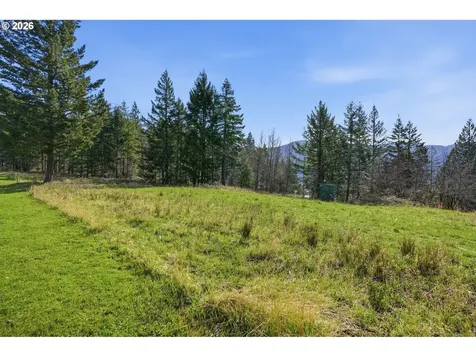 0 Bone Road Stevenson WA 98648