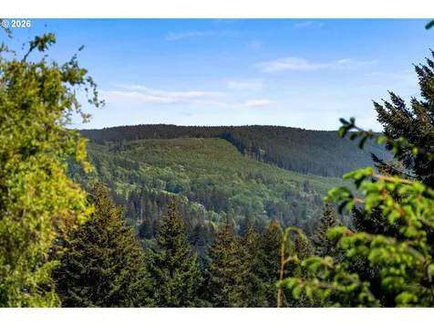 937 Janice Court Clatskanie OR 97016