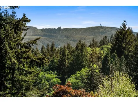937 Janice Court Clatskanie OR 97016
