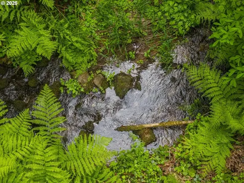 0 Shotgun Creek Road Marcola OR 97454
