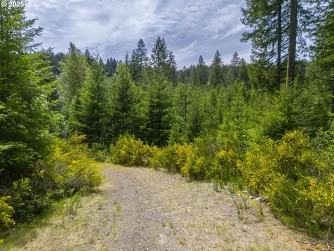 0 Shotgun Creek Road Marcola OR 97454