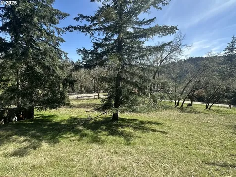 527 Old Homestead Drive Oakland OR 97462
