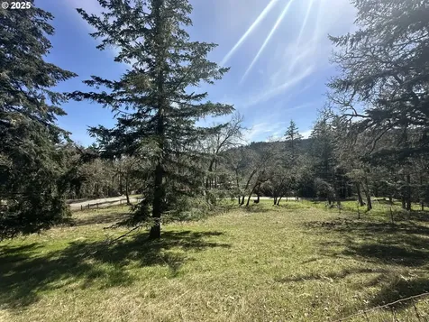 527 Old Homestead Drive Oakland OR 97462