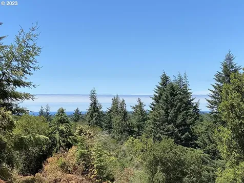 Vista Street Port Orford OR 97465