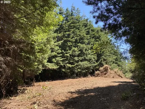 Vista Street Port Orford OR 97465