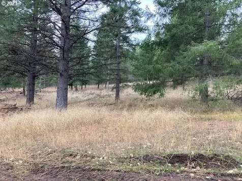 69383 Poverty Flat Road Pendleton OR 97801