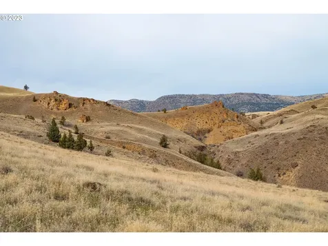 39968 Highway 218 Fossil OR 97830
