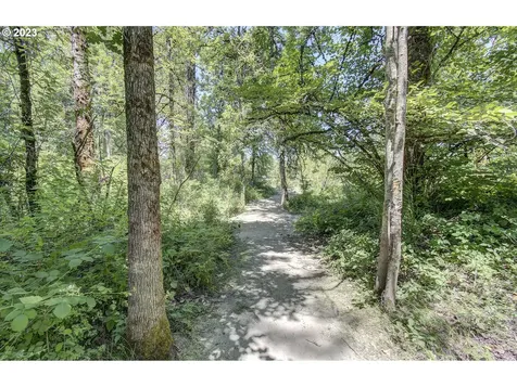 84 River Rock Lane Woodland WA 98674