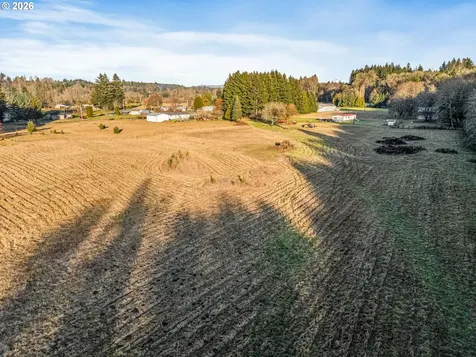 Collins Road Toledo WA 98591