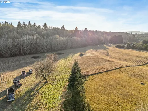 Collins Road Toledo WA 98591