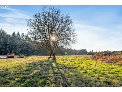 Collins Road Toledo WA 98591