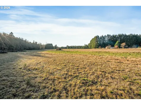 Collins Road Toledo WA 98591