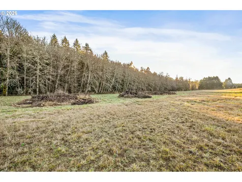 Collins Road Toledo WA 98591