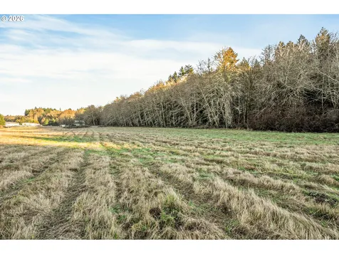 Collins Road Toledo WA 98591