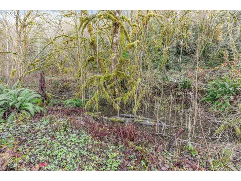 Collins Road Toledo WA 98591