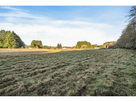 Collins Road Toledo WA 98591