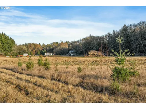 Collins Road Toledo WA 98591
