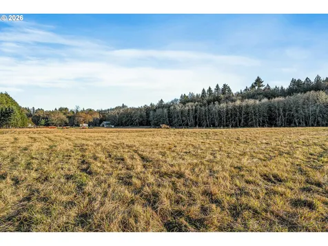 Collins Road Toledo WA 98591